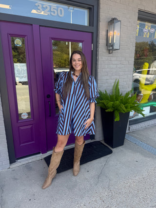 Luna Blue & Brown Striped Mini Dress