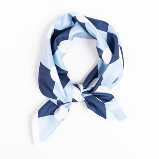 Drew Silk Scarf Bar Scarf