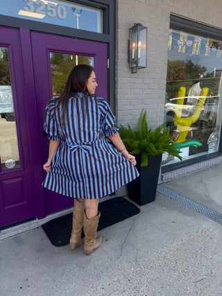 Luna Blue & Brown Striped Mini Dress