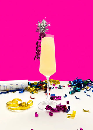 Wine + Bubbly Ready-To-Freeze Cocktail Party Pack