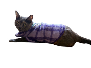 Mardi Gras Small Animal Sweater