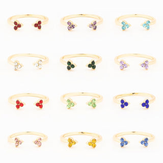 Kristina Adjustable Birthstone Ring