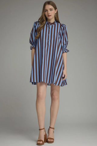Luna Blue & Brown Striped Mini Dress