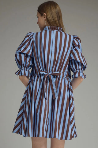 Luna Blue & Brown Striped Mini Dress