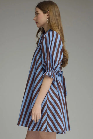 Luna Blue & Brown Striped Mini Dress